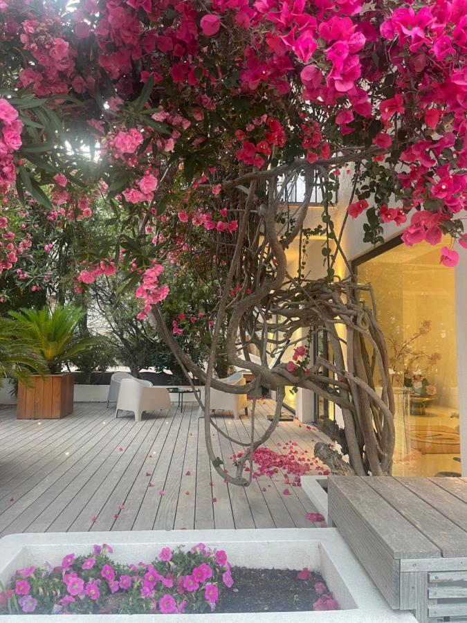 Hotel Le Mistral ポルトヴェッキオ エクステリア 写真