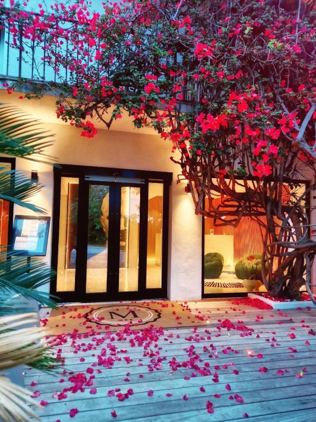 Hotel Le Mistral ポルトヴェッキオ エクステリア 写真